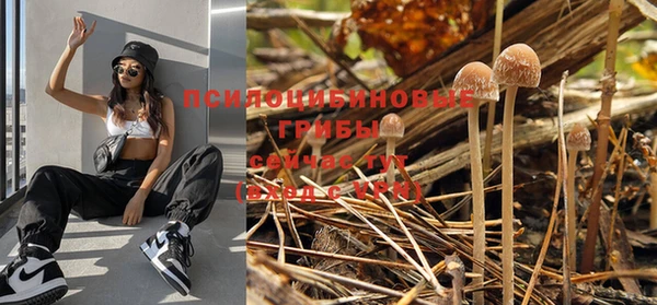 ГАЛЛЮЦИНОГЕННЫЕ ГРИБЫ Рославль