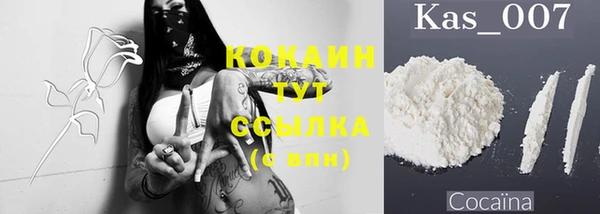 ГАЛЛЮЦИНОГЕННЫЕ ГРИБЫ Рославль