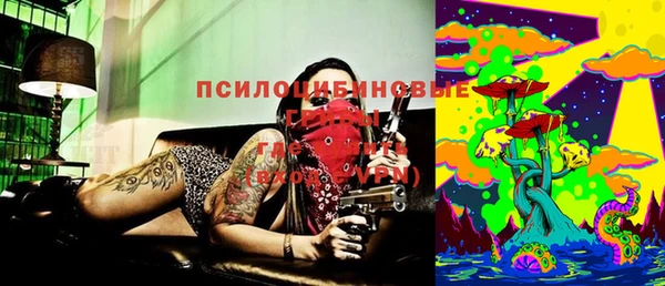 ГАЛЛЮЦИНОГЕННЫЕ ГРИБЫ Рославль