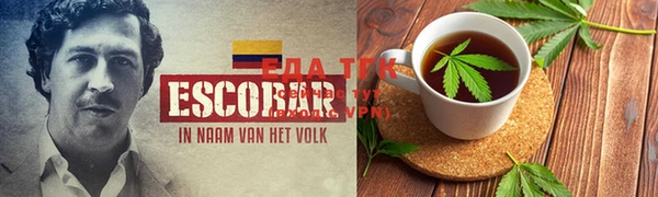 ГАЛЛЮЦИНОГЕННЫЕ ГРИБЫ Рославль